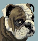 bulldog.jpg