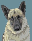 germanshepherd.jpg